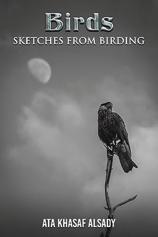 Birds: Sketches from Birding