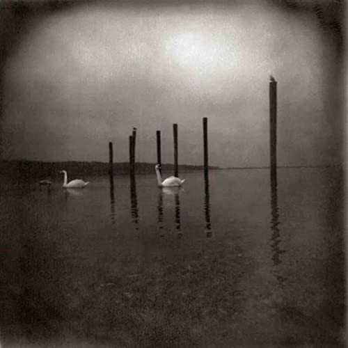 Om - Conference Of The Birds [VINYL]