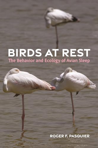 Birds at Rest : The Behavior and Ecology of Avian Sleep