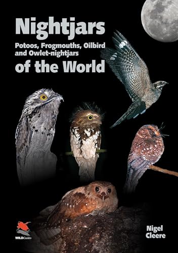 Nightjars