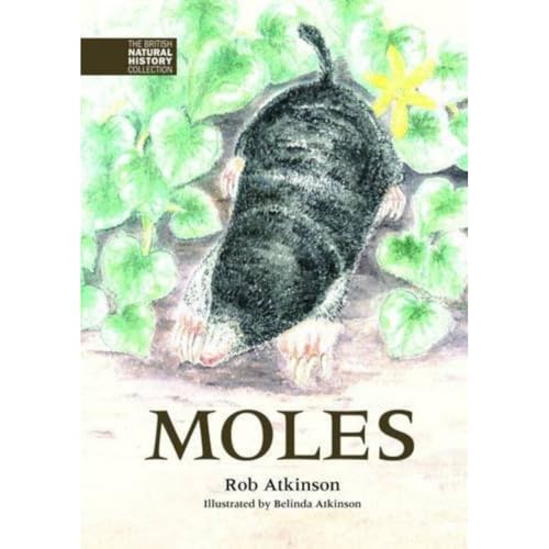 Moles : 3