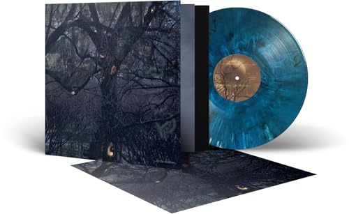 Vinyl record, album cover with dark trees, and insert displayed together.