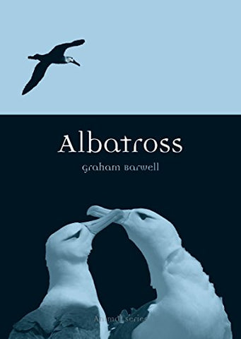 Albatross (Animal Series)