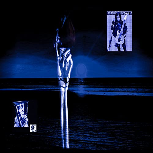 Ferrarilover - Draacool  [VINYL]