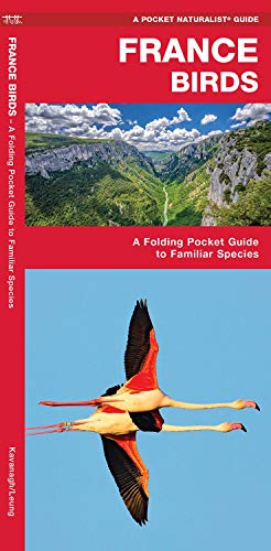 France Birds: A Folding Pocket Guide to Familiar Species (Pocket Naturalist Guide) (Wildlife and Nature Identification)