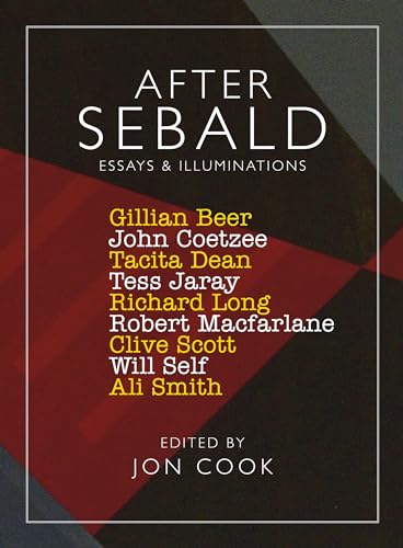 After Sebald : Essays and Illuminations