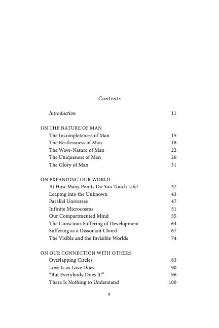 The Eternal Ragpicker : Essays on the Human Condition