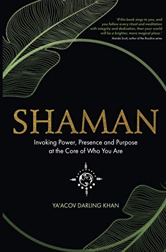 Shaman: Invoking Power, Presence and Purpose at the Core of Who You Are