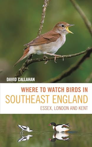 Where to Watch Birds in Southeast England : Essex, London and Kent