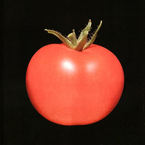 Chronophage - Chronophage [VINYL]