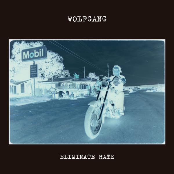 Various - Eliminate Hate [VINYL]