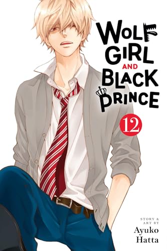 Wolf Girl and Black Prince, Vol. 12 : Volume 12