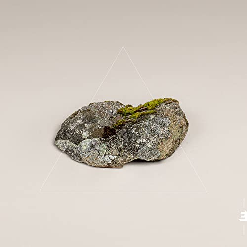 Fergus McCreadie - Cairn [CD]