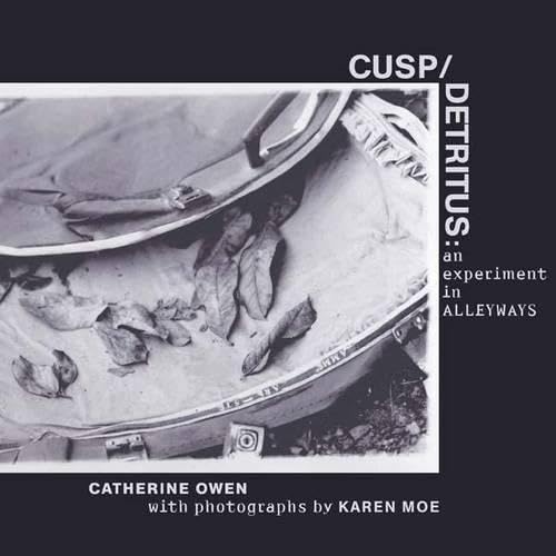 Cusp/detritus : an experiment in alleyways
