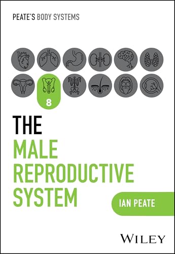 The Male Reproductive System