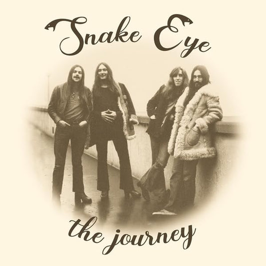 Various - The Journey [VINYL]