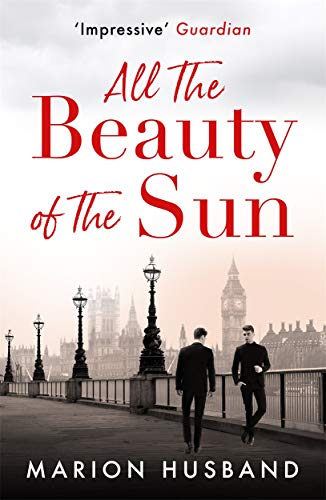 All the Beauty of the Sun: The Boy I Love: Book Two (Boy I Love Trilogy 2)