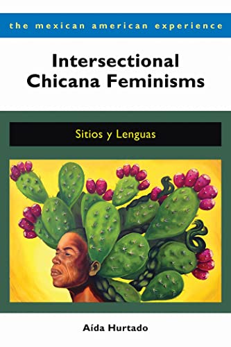 Intersectional Chicana Feminisms : Sitios Y Lenguas