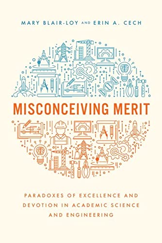 Misconceiving Merit: Paradoxes of Excellence and Devotion in Academic Science and Engineering