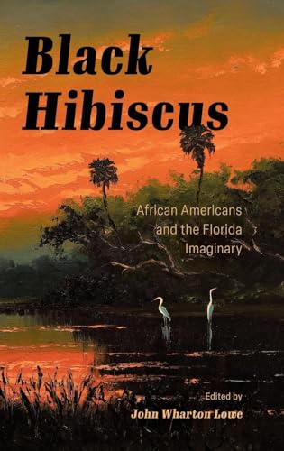 Black Hibiscus : African Americans and the Florida Imaginary