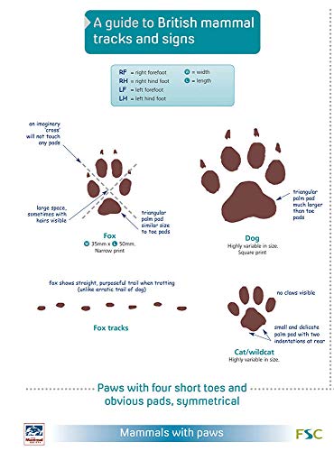 A Guide to British Mammal Tracks and Signs