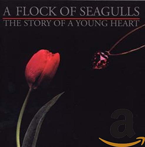 Flock Of Seagulls - Story Of A Young Heart [CD]