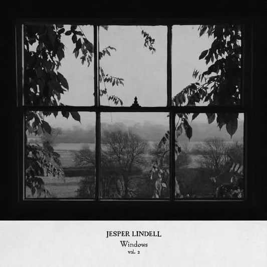 Various - Windows Vol. 2 [VINYL]