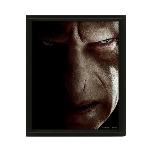 Harry Potter (Harry Vs Voldemort) - Framed