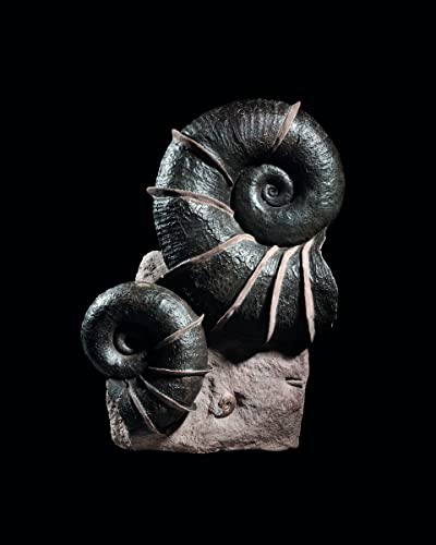 Dinosaurs are Collectible: Digging for Dinosaurs: the Art