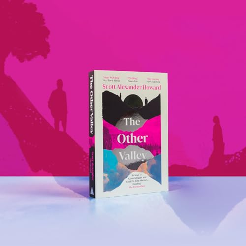 The book The Other Valley stands on a surface against a bright pink background.