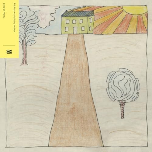 Bill Mackay & Ryley Walker - Land Of Plenty [VINYL]