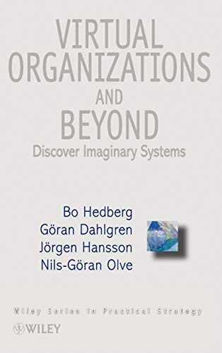 Virtual Organizations and Beyond: Discover Imaginary Systems