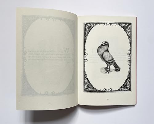 James Birch: Walter The Pigeon