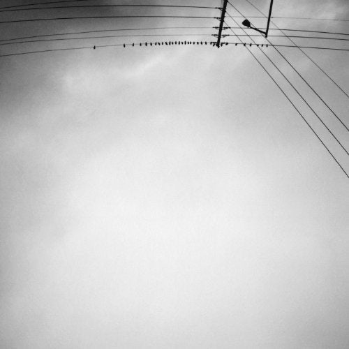 Black and white image of birds on power lines against a cloudy sky.