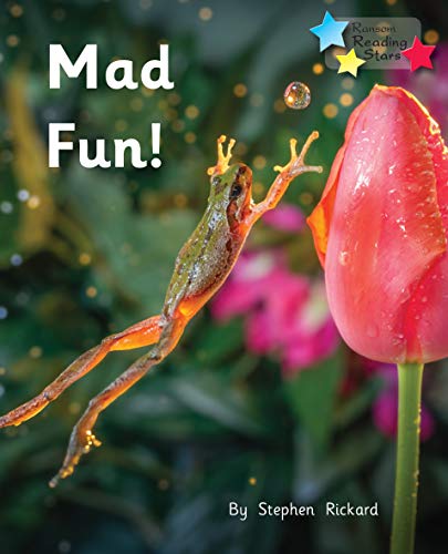 Mad Fun! (Reading Stars Phonics)