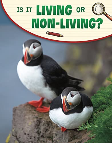 Is It Living or Non-living? (Science Enquiry)