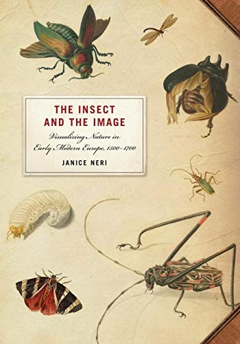 The Insect and the Image: Visualizing Nature in Early Modern Europe
