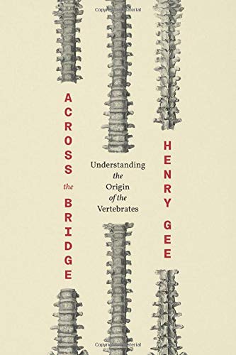 Across the Bridge: Understanding the Origin of the Vertebrates