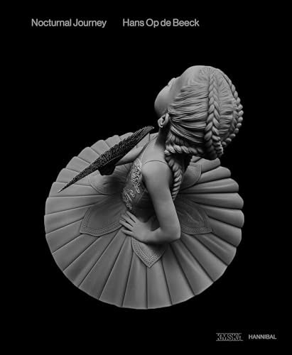 Nocturnal Journey : Hans Op de Beeck