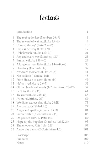 Journey With Me Through Christmas : An advent devotional