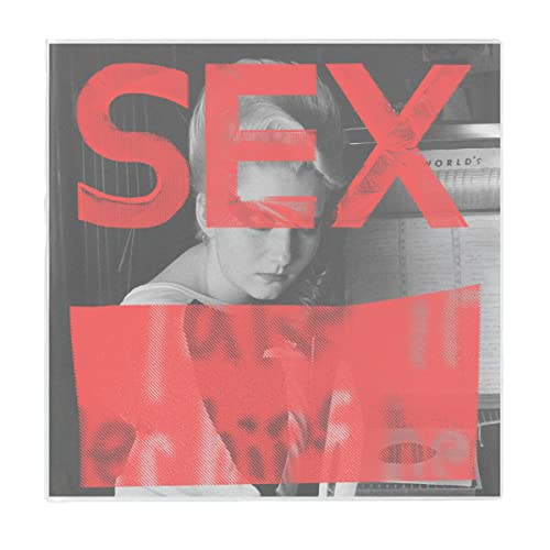Various Artists - SEX: WE ARE NOT IN THE LEAST AFRAID OF RUINS [VINYL]
