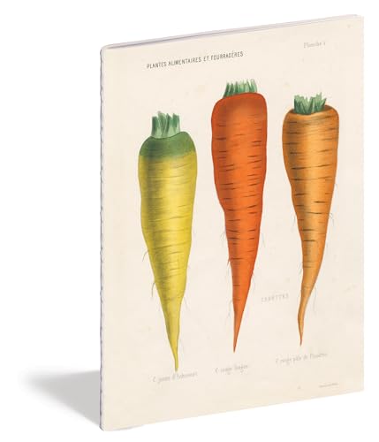 John Derian Paper Goods: Kitchen Delights Notebooks
