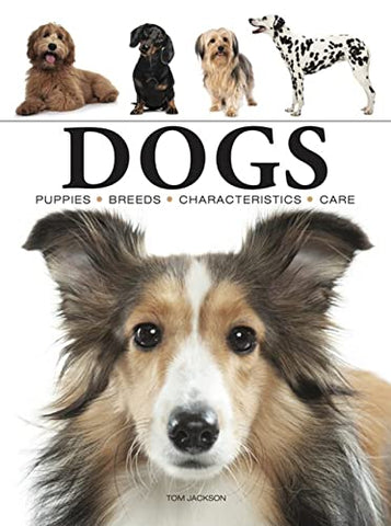 Dogs (Mini Encyclopedia) (Mini Animals)