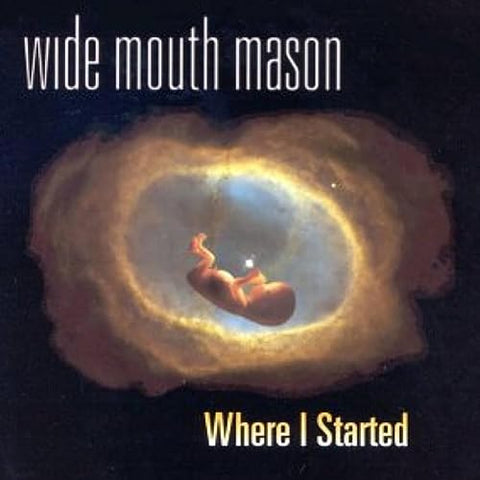 Wide Mouth Mason - Where I Started  [VINYL]