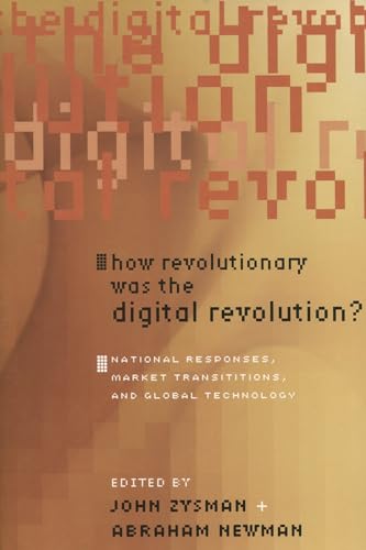 How Revolutionary Was the Digital Revolution?: National Responses