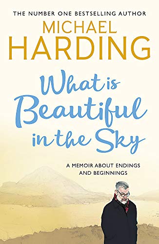 What is Beautiful in the Sky: A book about endings and beginnings