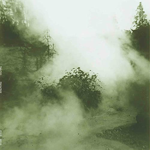 Various - Swaying Steady [VINYL]