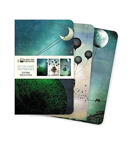 Catrin Welz-Stein Mini Notebook Collection (Mini Notebook Collections)
