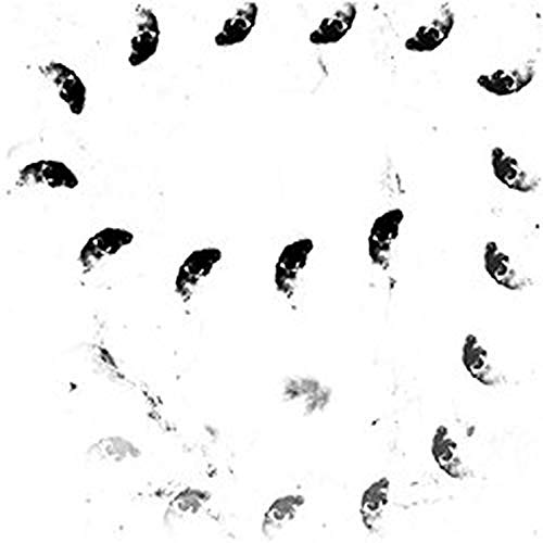 Various - Moira [VINYL]