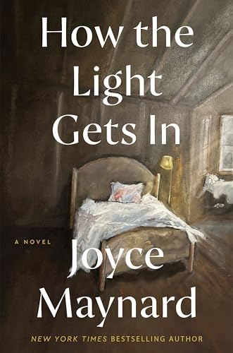 How the Light Gets In : A Novel